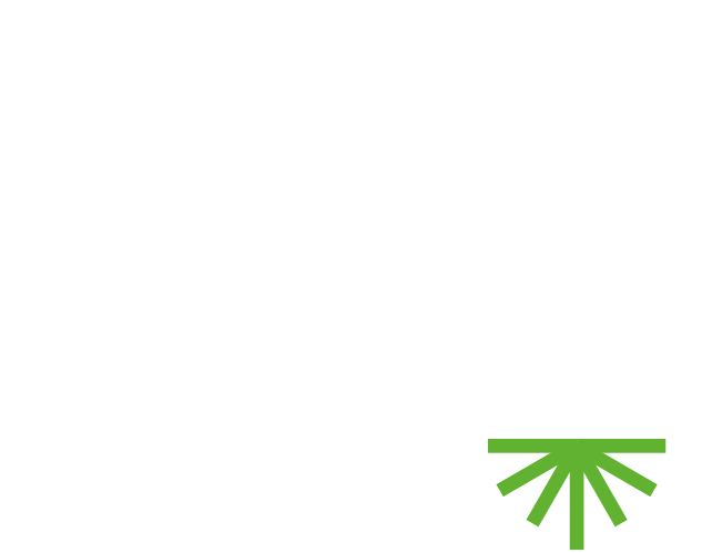 tiheda